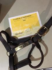 Halter worn by Derby winner ORB