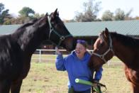 Volunteer with horses