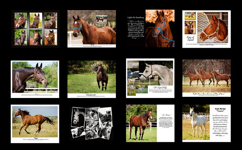 Horse Calendar